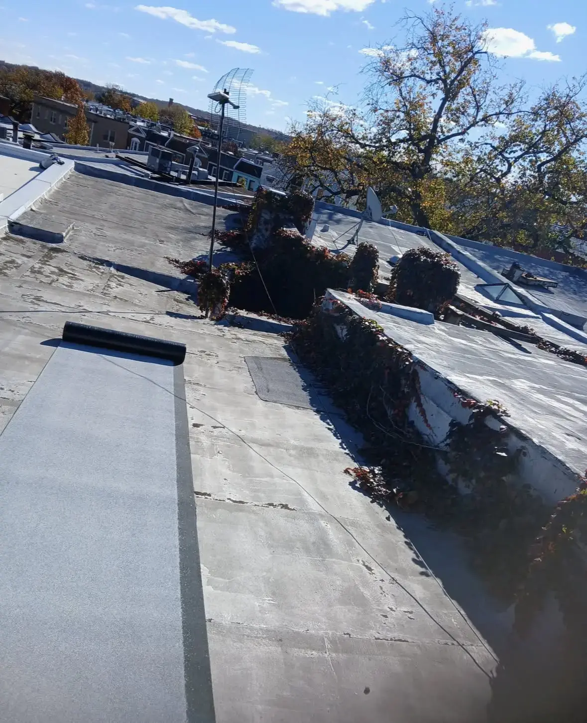 Concrete and clay tile roof repair St. Pete
